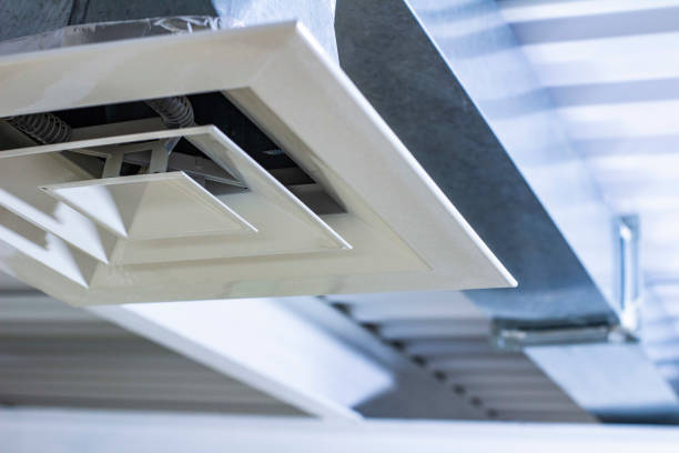 Best Air Duct Mold Removal  in Mount Vernon, TX