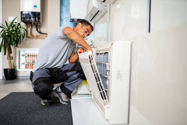 Best Home Air Vent Cleaning  in Mount Vernon, TX