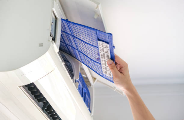 Best Air Duct Cleaning Company Near Me  in Mount Vernon, TX