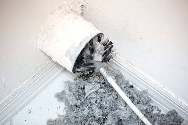 Best Air Duct Cleaning Near Me  in Mount Vernon, TX